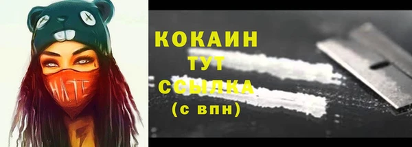 гидропоника Горняк