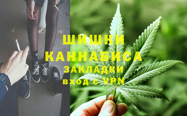 гидропоника Горняк