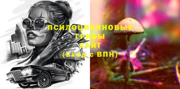 соль ск Вяземский