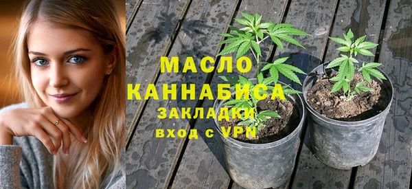 соль ск Вяземский