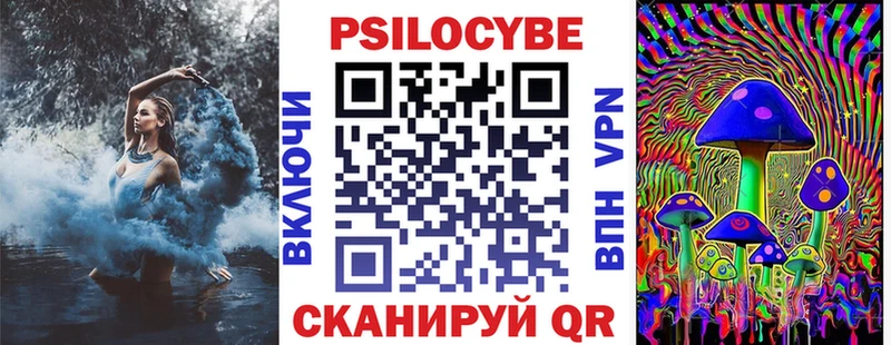 Псилоцибиновые грибы мицелий Новочебоксарск